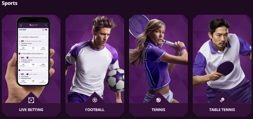 Malina Casino Sportowe